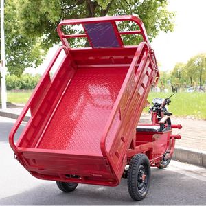 รถมอเตอร์ไซค์สามล้อ2ที่นั่งรถเข็นแบบปรับแต่งได้ - Product Image 4