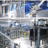 Automatische vul- en afsluitmachine voor smoothie fruitsap in spuitzakken, Doypack systeem voor puree