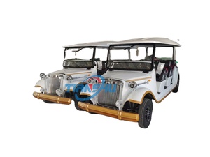 Auto Elettrica Classica di Design Bianco a 3 File e 11 Posti con Carrozzeria Grande, Marca TIANSHU, Certificata CE, Produttore Cinese - Product Image 2