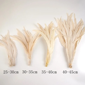 Plumas Naturales <span class=keywords><strong>de</strong></span> <span class=keywords><strong>Gallo</strong></span> a Granel, 10-16 pulgadas/25-40 cm, Plumas <span class=keywords><strong>de</strong></span> <span class=keywords><strong>Gallo</strong></span> Teñidas para Espectáculos <span class=keywords><strong>de</strong></span> Carnaval - Product Image 5