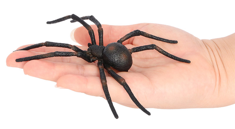 1938 Araña viuda negra