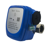 Vanne à boisseau sphérique en laiton sans fil LoRaWAN NB-IoT à batterie, actionneur électrique, Classes A, B, C, DN15, 20, 25, 32, pour coupure d'eau – Direct Fabricant