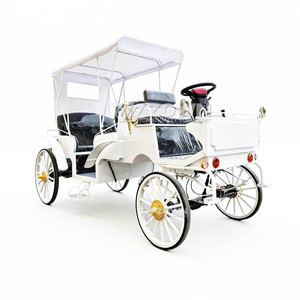 Calèche électrique personnalisée pour événements spéciaux, limousine de tourisme, calèche vintage blanche - Product Image 1