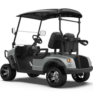 New Designed 2 Seater Buggy Golf Cart Electric Golf Carts