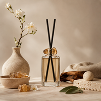 Diffuseur de parfum personnalisé ENO avec logo, marque privée, parfum longue durée pour salon, chambre, bureau, fabricant