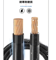 Cable de Cobre DaDi con Revestimiento de PVC y Nylon, Tipo THHN 14AWG, 600V, Uso Industrial para el Mercado Filipino