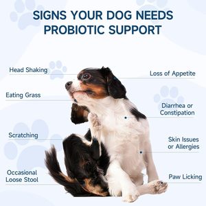 Golosinas Probióticas para Perros ODM/OEM - Vitaminas y Minerales Diarios en Formato Masticable Suave, Apoyo Intestinal, Salud Cardíaca - Product Image 4