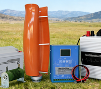 Éolienne à axe vertical Tulip 3KW 12V pour l'alimentation électrique des cabanes rurales et les systèmes hors réseau
