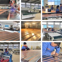 Chauffe-eau solaire à plaques plates antigel 300L, double collecteur à revêtement bleu, système pressurisé au glycol, économie d'énergie, européen