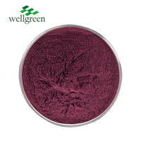 100% puur natuurlijk wateroplosbaar extract van zwarte vlierbessen in poedervorm, 25% anthocyanen