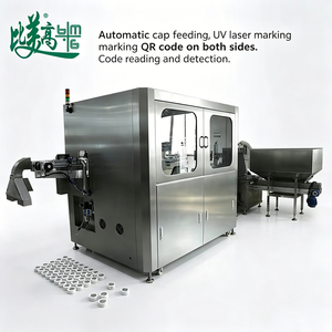Machine de marquage laser haute vitesse de qualité A pour l'gravure de codes QR et de codes de série Data Matrix, avec double marquage anti-contrefaçon pour les bouchons de boissons - Product Image 2