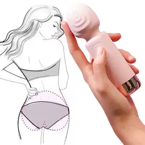 Handheld Pink Rose Masturbation 10 Frequency USB Silicone Soft Mini Av Wand Vibrator USB Rechargeable Sex Toys For Female