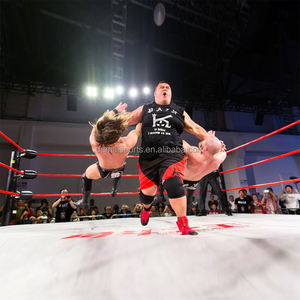 Fighttbro EPW钢 & 保护泡沫15英尺可定制摔跤环衬垫，适用于<span class=keywords><strong>WWE</strong></span>，终身保修 - Product Image 1