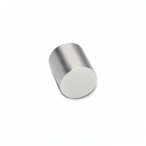Servicio de Suministro de Sondas Sensoras 501931 Imanes Multiusos MAGNET 1.260"D X 1.378"THICK CYL - Product Image 1