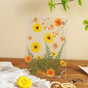 Presse à fleurs séchées créative faite à la main, style nordique simple, rectangulaire, 6-7 pouces, thème floral, pour photos - Product Image 3
