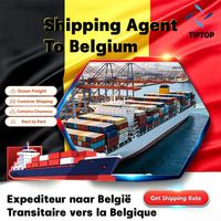 Agent maritime Belgique Expédition maritime Port de Gand Transitaire Suivi DHL Courrier Service d'expédition international