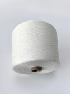 Fibre de fil de Polyester ignifuge de haute qualité 6S 40S anneau filé 6500 teneur en phosphore pour <span class=keywords><strong>la</strong></span> couture tissage tapis ignifuge - Product Image 6