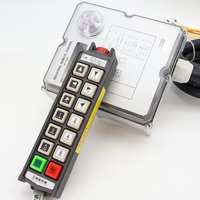 Control Remoto Industrial Antiinterferencias de Salto de Frecuencia, Nuevo, 12 Botones, Velocidad Única, Dispositivo Inalámbrico de Largo Alcance