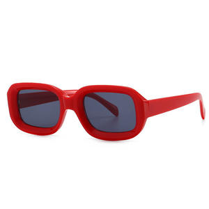 Nuevas Gafas de Sol Rectangulares Pequeñas Vintage de Moda 2022 para Mujer, Gafas de Sol Ovaladas con Estampado de Cebra - Product Image 4
