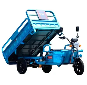 1000W EEC EU COC Electric Cargo Tricycle Dump Trike With 3 Wheels For Farm