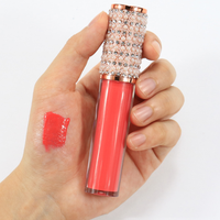 Vente de gros Présentoir de rouge à lèvres Offre Spéciale brillant à lèvres hydratant brillant à lèvres en plastique fait à la main doux