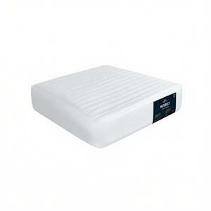 Vialifresh Queen Size Mattress Protector Polyester Machine Washable All Season Bed Protection Pad - Product Image 1