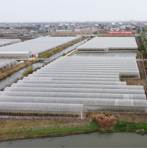 <span class=keywords><strong>Mini</strong></span> serre pliable Portable professionnel grand <span class=keywords><strong>tunnel</strong></span> agricole serre en tissu <span class=keywords><strong>de</strong></span> revêtement Transparent pour une utilisation dans le <span class=keywords><strong>jardin</strong></span> - Product Image 3