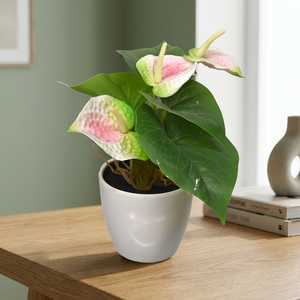 Artificial Plastic <b>Succulent</b> Tropical Anthurium High Simulation Leaves Tabletop <b>Pot</b> - Product Image 3