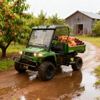Véhicule utilitaire électrique 10KW 4x4 tout-terrain résistant à l'eau salée, buggy de livraison pour les stations balnéaires