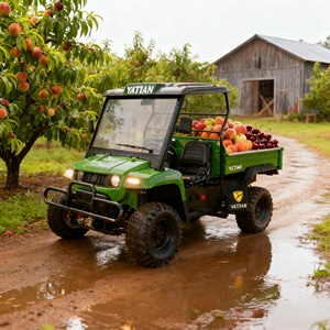 Véhicule utilitaire <span class=keywords><strong>électrique</strong></span> 10KW 4x4 tout-terrain résistant à l'eau salée, buggy de livraison pour les stations balnéaires - Product Image 6