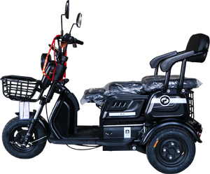 Tricycle adulte à carrosserie ouverte, moteur 500W-800W, vitesse 50 km/h, 2 passagers - Product Image 4