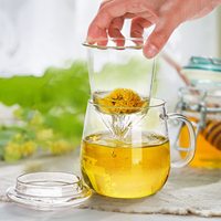 Tasse à thé en verre avec infuseur et couvercle Tasse à thé de voyage pour cadeaux