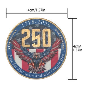 定制250周年纪念纪念品小硬币稀有美国假镀金鹰硬币 - Product Image 5