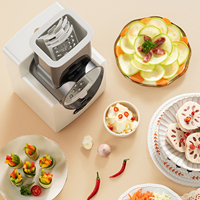Hot Selling électrique automatique Mandoline coupe-légumes pour accessoires de cuisine