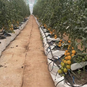 Bolsas de Plástico Negras Reutilizables de 22L para Plantas, Macetas para Cultivo en Exteriores, para Pepinos, Tomates, Flores, Capacidad Personalizable en Galones - Product Image 5