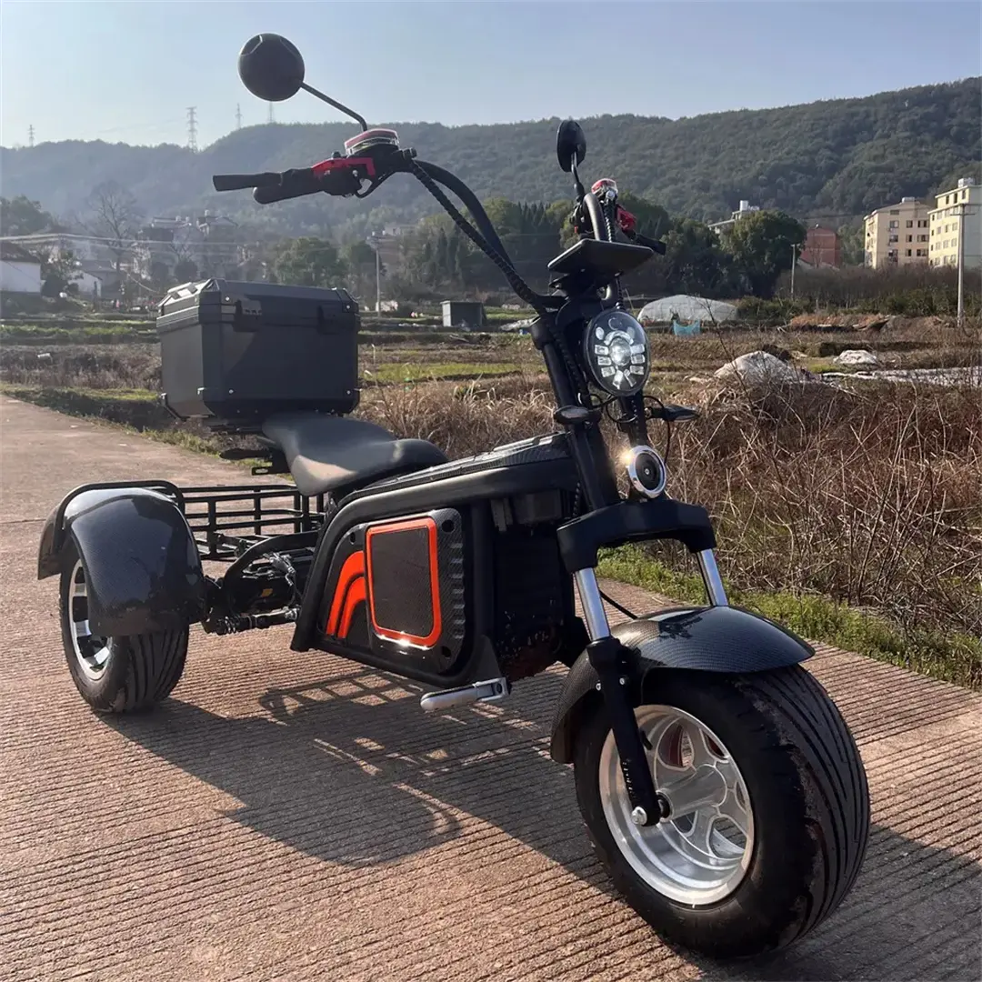 Nuovo modello tre ruote Scooter tricicli elettrici motore Custom batteria al litio LCD 60V 12 pollici Cargo acciaio telaio aperto 60V 2000W