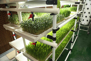 Kit de système de culture d'étagère Microgreen avec lumière LED pour légumes et fruits - Product Image 3