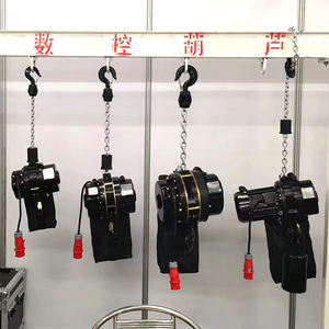 Palan électrique de scène de palan à moteur en treillis personnalisé 500kg 1 tonne 2 tonnes 6m 12m pour le levage audio d'hôtel de concert dramatique - Product Image 2