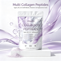 Sachets de poudre de collagène multi-effets hydrosoluble à marque privée, supplément de collagène HA VC Glutathion, soutien énergétique 454g