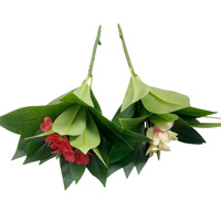Buket Bunga Frangipani Buatan Tangan Ramah Lingkungan Realistis dengan 5 Tangkai untuk Dekorasi Meja Ruang Tamu