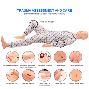 Modelo Anatômico Avançado BIX-H2400 para Treinamento em Enfermagem Medição de Pressão Arterial Função Completa PVC para Uso Escolar Ciência Médica - Product Image 3