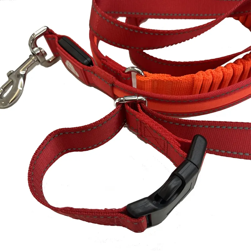 New Variety Personalized Waterproof Dog Collars And Leashes
