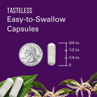 Complément alimentaire antioxydant biodisponible OEM, capsules de trans-resvératrol, favorise la réparation cellulaire, la longévité, le cerveau, le cœur