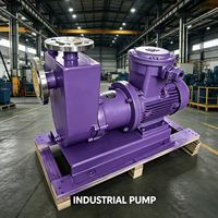 Bomba de Accionamiento Magnético Autocebante de Acero Inoxidable ZCQ, Especificaciones Personalizadas para Transferencia de Líquidos Sanitarios en la Industria Alimentaria y de Bebidas