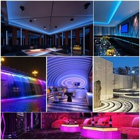 Vente en gros de bande LED numérique flexible 12V 2811 Ws2811, bande LED numérique flexible 1903 Smd 5050 RGB adressable, bande lumineuse à pixels LED