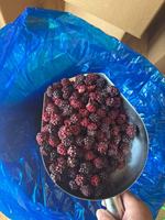 Exportkwaliteit diepvrieszwarte bessen, snellere levering, goedkoopste diepvriesbessen in bulkverpakkingen, hoge anthocyanine