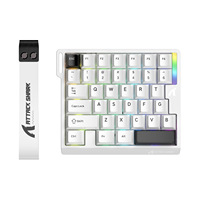 Tastiera da Gaming M36HE con Effetto Hall, 8000Hz, Scansione 128K, RT 0.01mm, 36 Tasti, Interruttore Magnetico Meccanico, RGB, Cablata, Tastiera a Una Mano