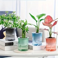 Pot de fleurs hydroponique paresseux à absorption automatique d'eau, pot transparent à double couche en plastique, auto-arrosant, pour bureau
