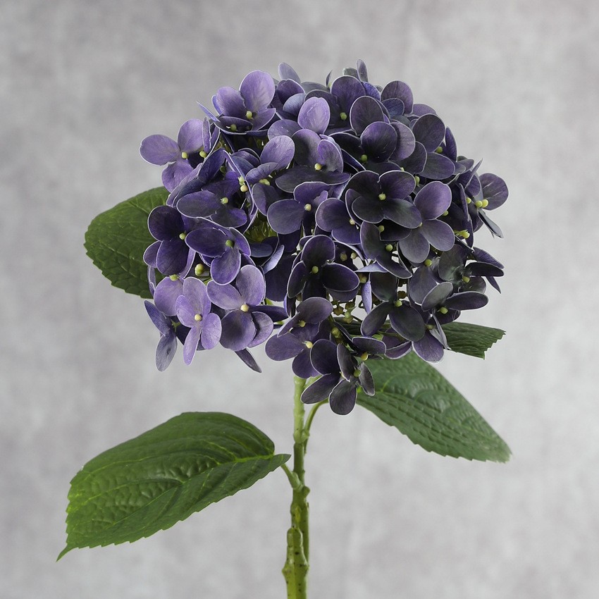 Pu1 morado oscuro