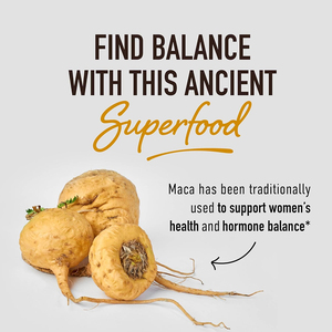Bebida de raíz de maca de marca privada de alta calidad que aumenta los niveles de energía natural y apoya la digestión y la salud intestinal. - Product Image 2